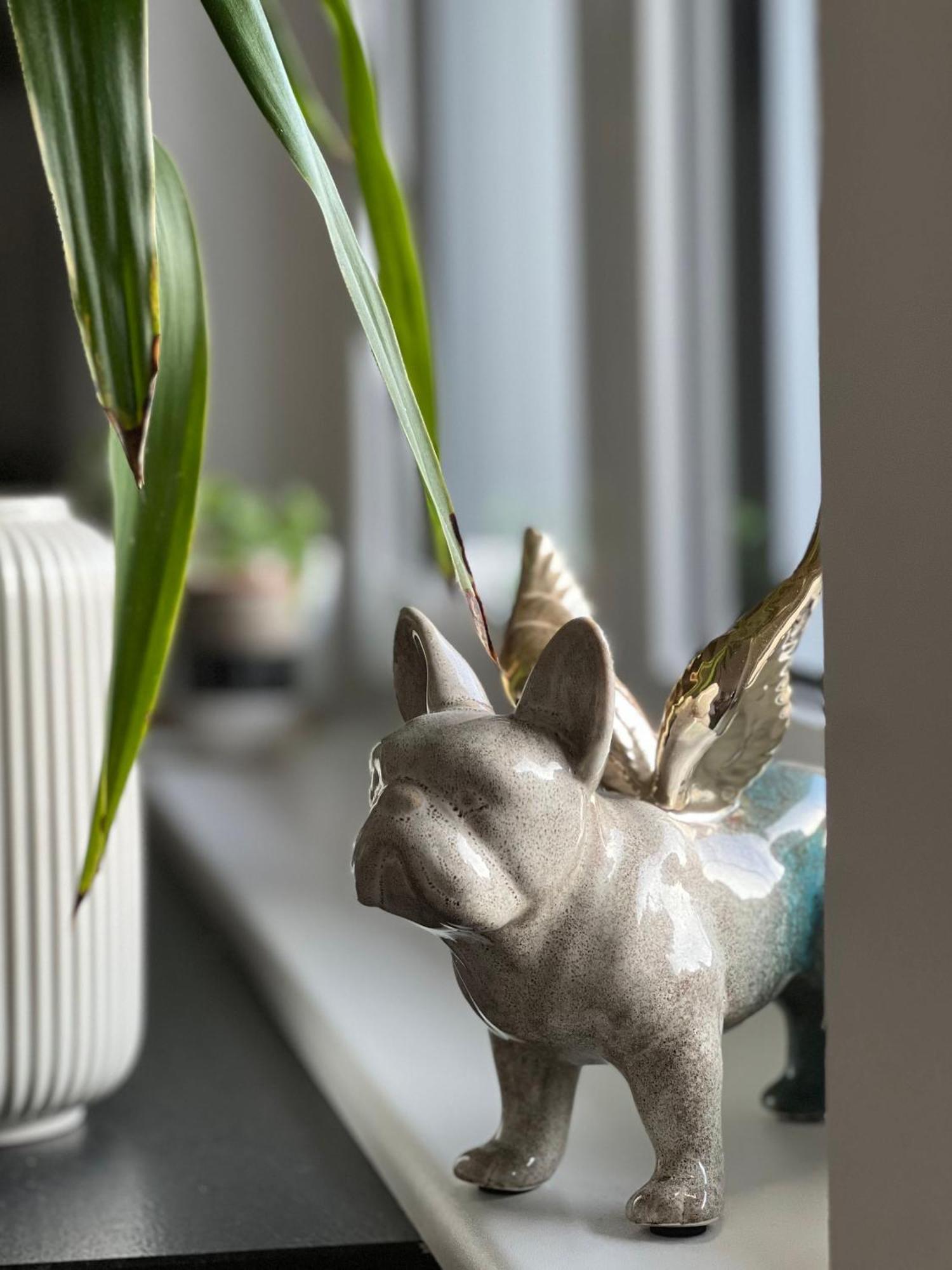 Helle Wohnung In Top Lage! Linz Ngoại thất bức ảnh
