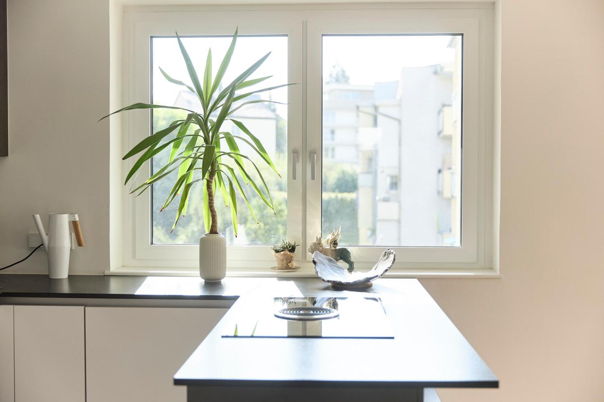 Helle Wohnung In Top Lage! Linz Ngoại thất bức ảnh